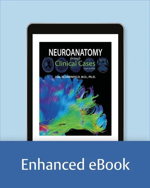 Neuroanatomy through Clinical Cases cover