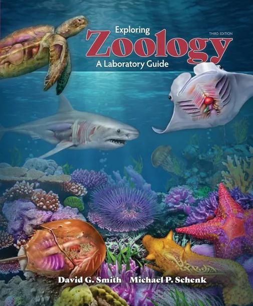 Exploring Zoology cover