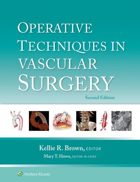 Operative Techniques in Vascular Surgery cover