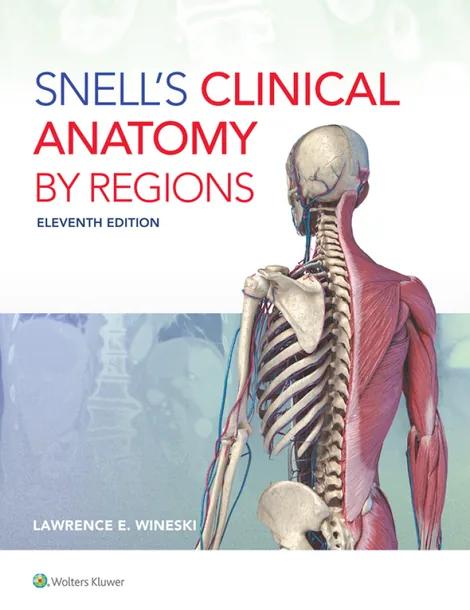 Snell's Clinical Anatomy by Regions cover