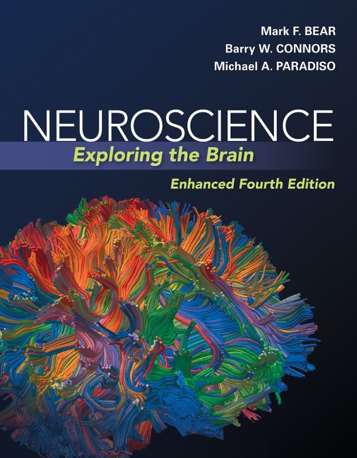 Neuroscience: Exploring the Brain, Enhanced Edition cover