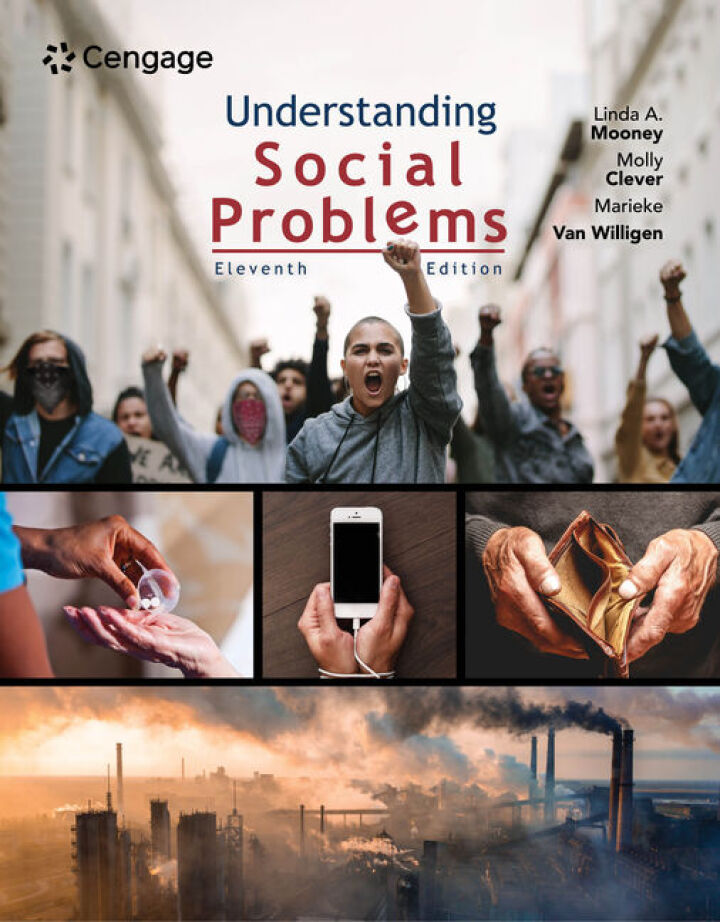 Understanding Social Problems cover