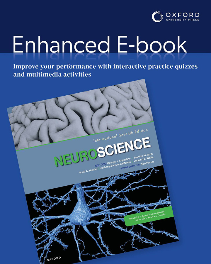 Neuroscience