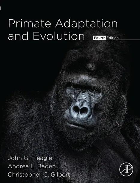 Primate Adaptation and Evolution cover