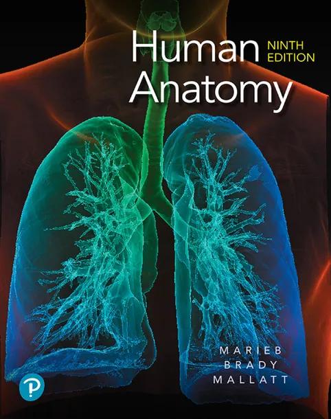 Human Anatomy cover