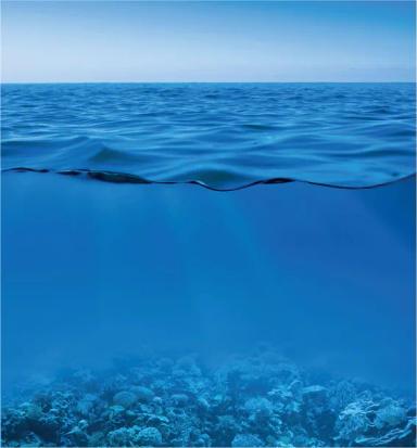 Marine Biology