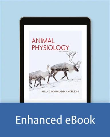 Animal Physiology