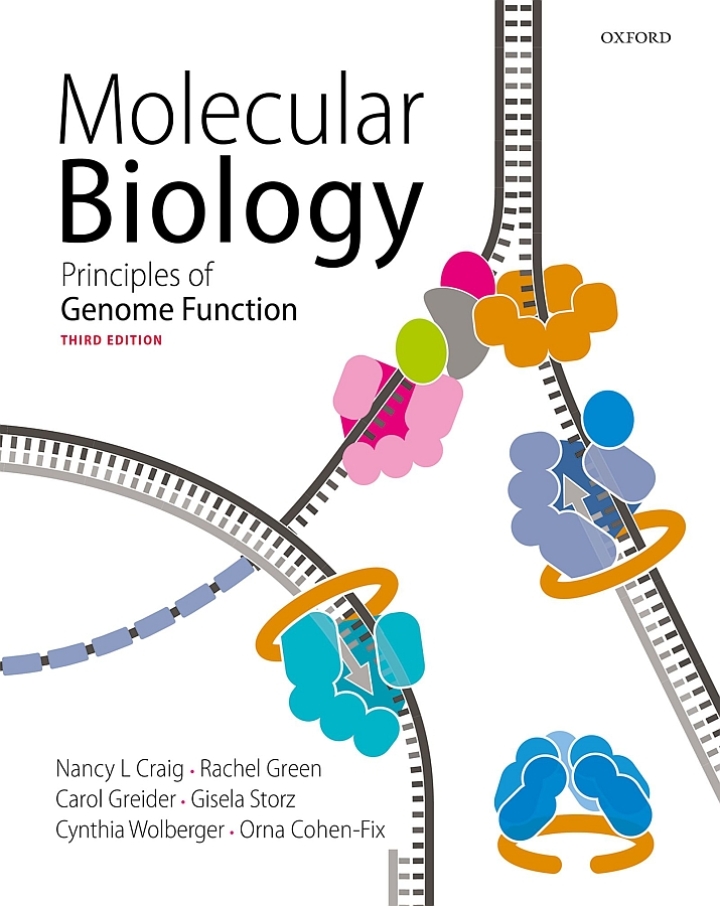 Molecular Biology: Principles of Genome Function cover