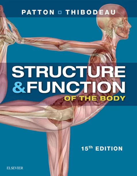 Structure & Function of the Body cover