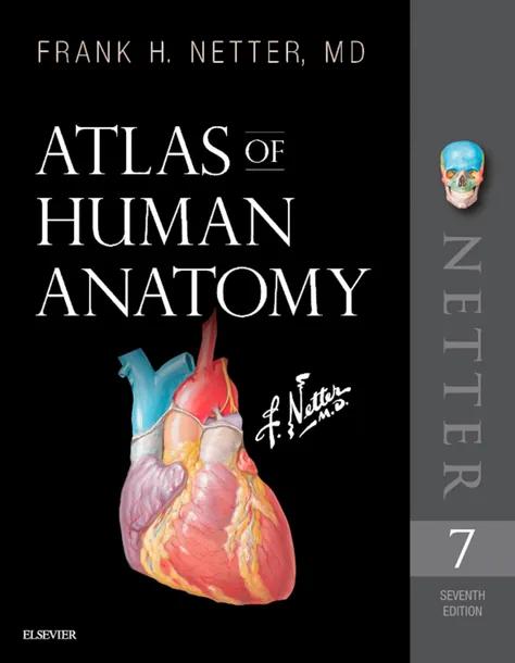Atlas of Human Anatomy
