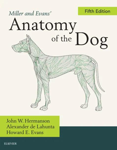 Miller and Evans' Anatomy of the Dog cover