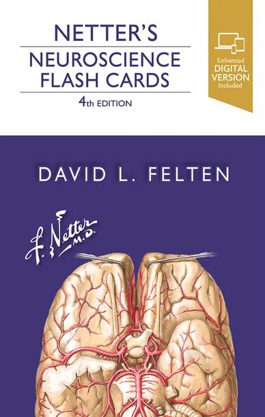 Netter's Neuroscience Flash Cards cover