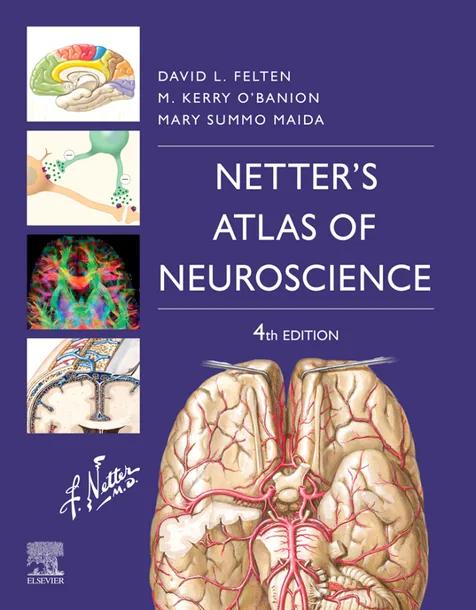 Netter's Atlas of Neuroscience cover