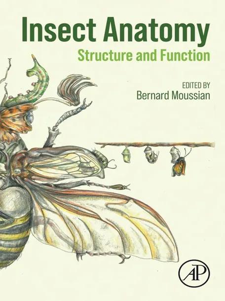 Insect Anatomy cover