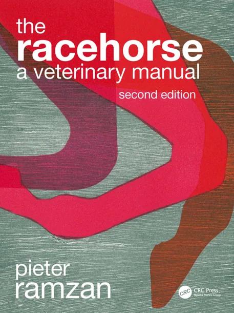 The Racehorse cover