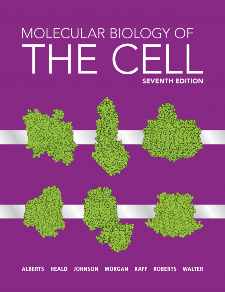 Molecular Biology of the Cell cover