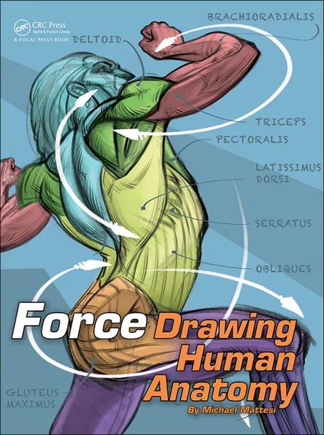 FORCE: Drawing Human Anatomy cover