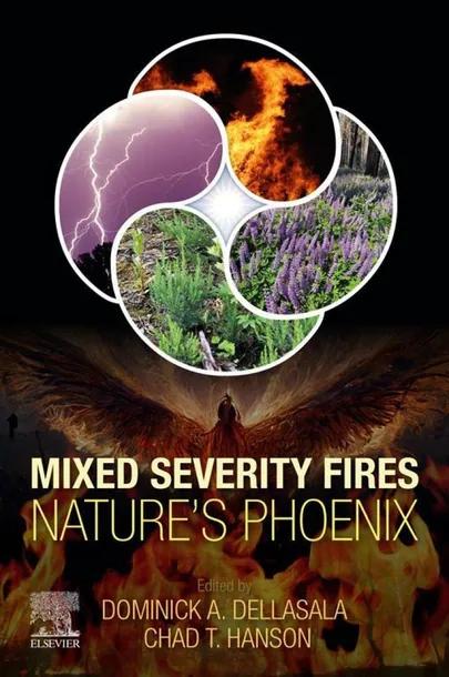 Mixed Severity Fires cover