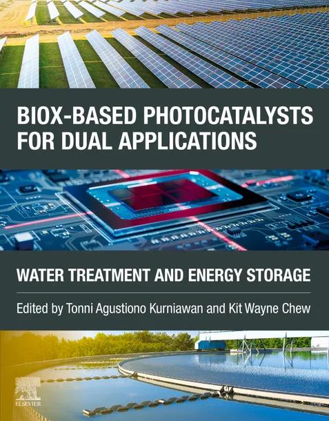BiOX-based Photocatalysts for Dual Applications cover
