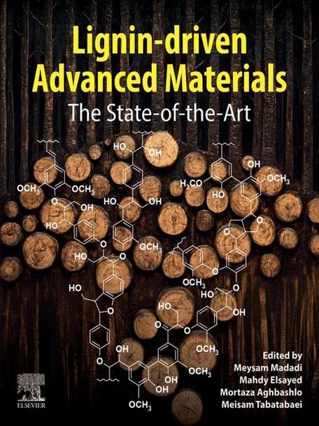 Lignin-driven Advanced Materials cover