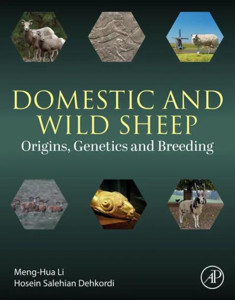 Domestic and Wild Sheep cover