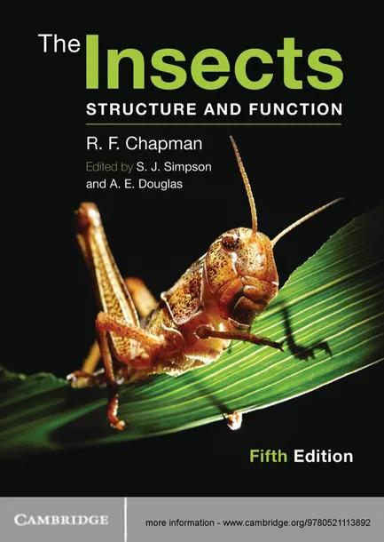 The Insects cover