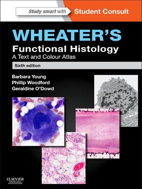 Wheater's Functional Histology E-Book cover