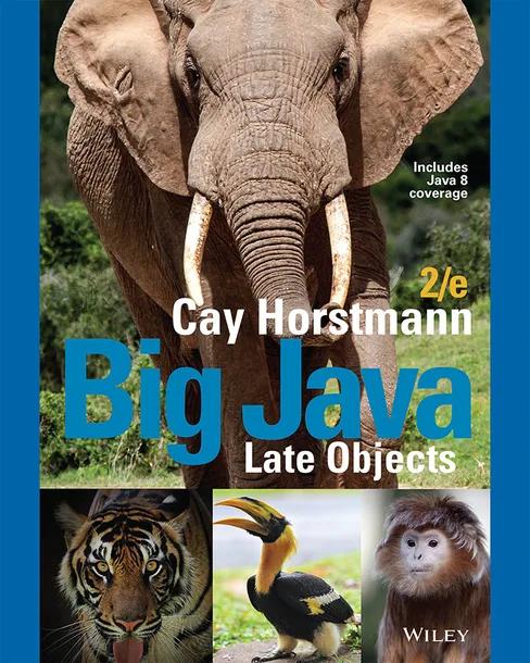 Big Java cover