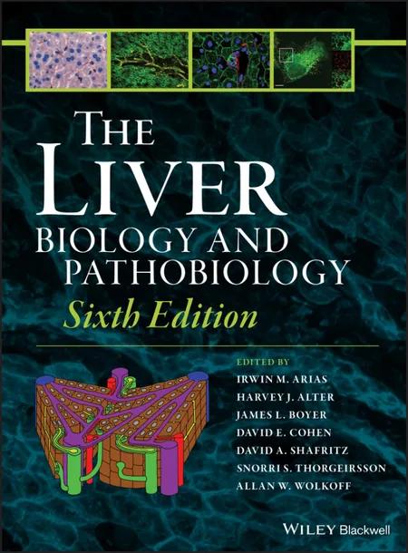 The Liver cover