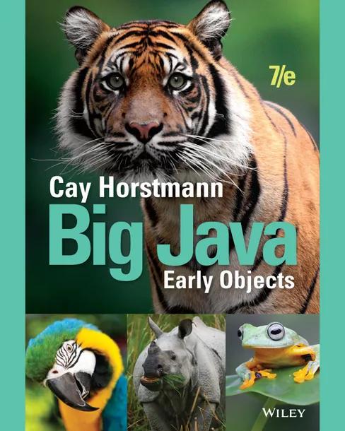 Big Java cover