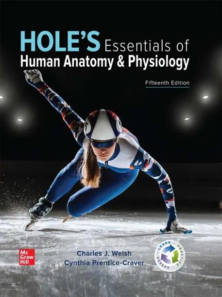 Hole's Essentials of Human Anatomy & Physiology cover
