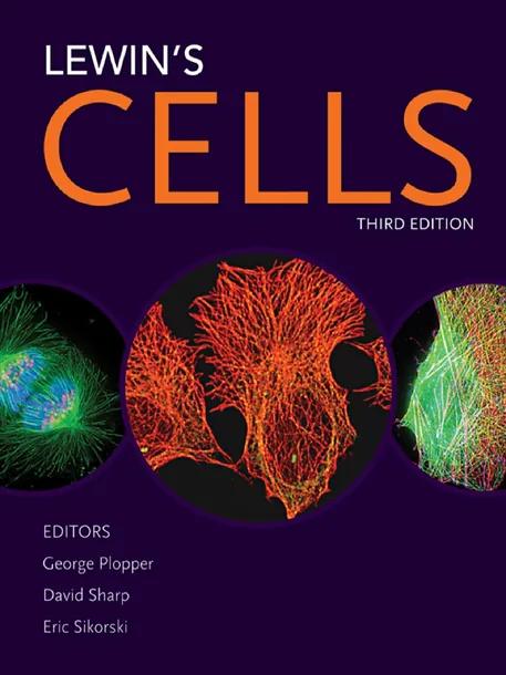 Lewin's CELLS