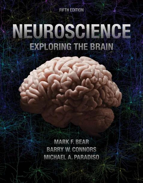 Neuroscience: Exploring the Brain