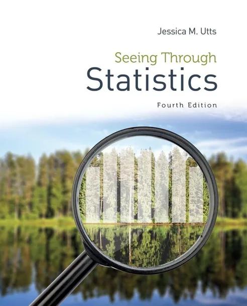 Seeing Through Statistics cover