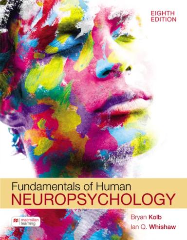 Fundamentals of Human Neuropsychology