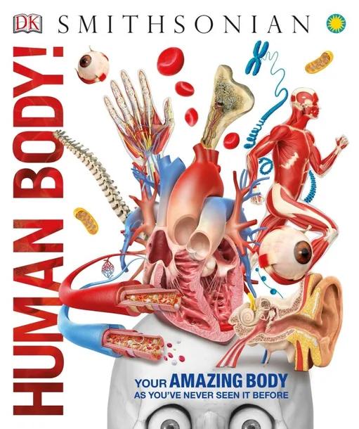 Knowledge Encyclopedia Human Body! cover