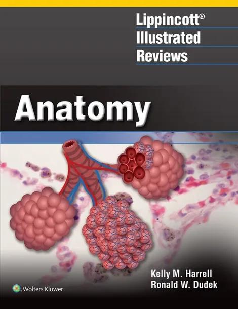 Lippincott® Illustrated Reviews: Anatomy cover