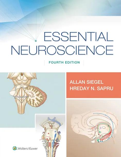 Essential Neuroscience cover