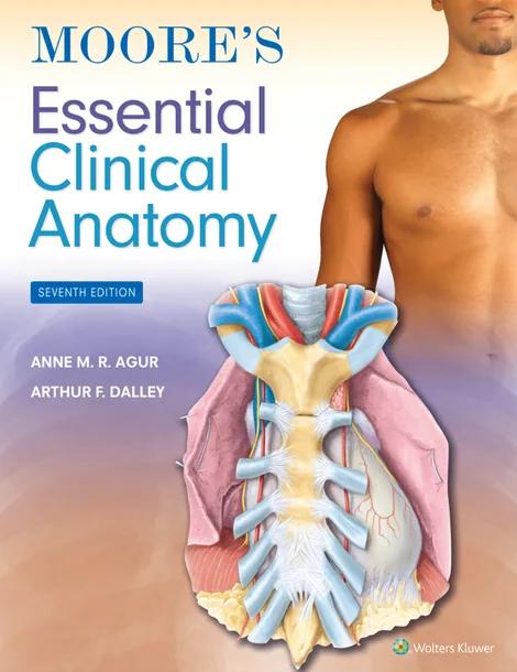 Moore's Essential Clinical Anatomy cover