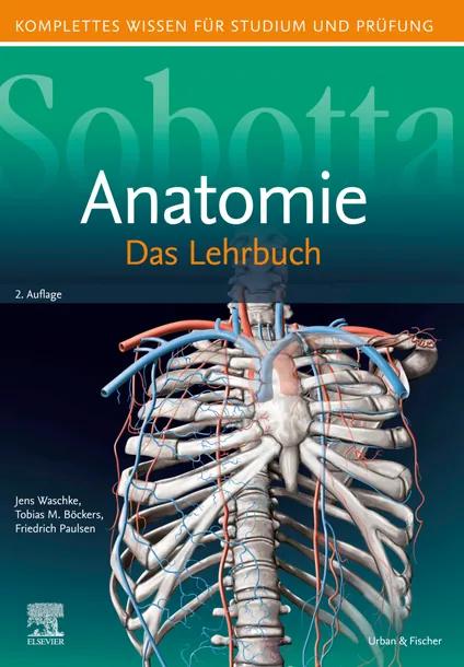 Sobotta Lehrbuch Anatomie cover