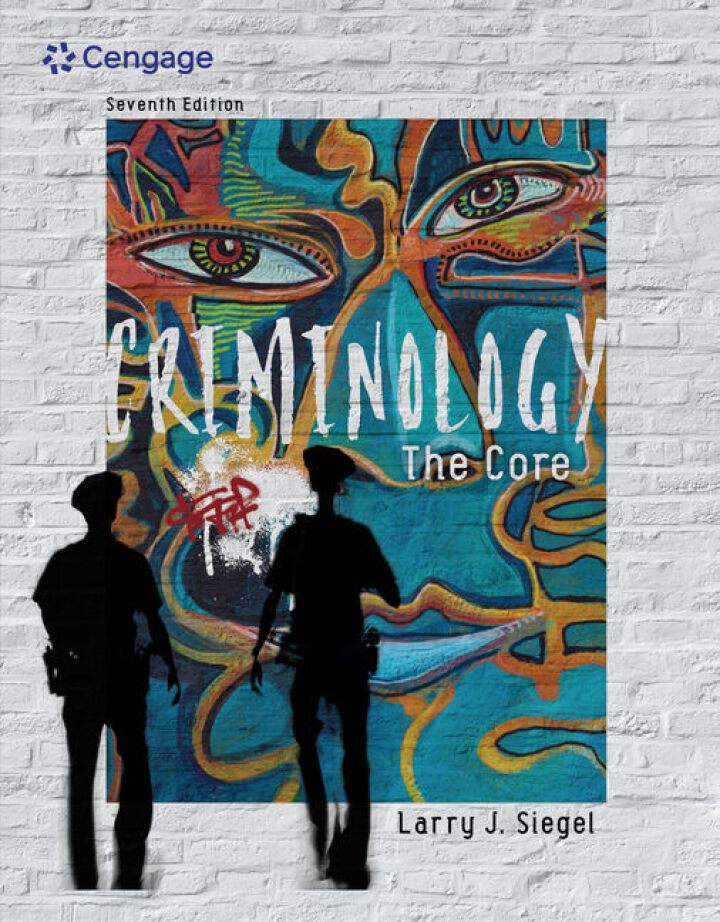 Criminology: The Core cover
