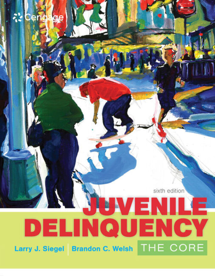 Juvenile Delinquency: The Core cover